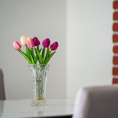 Apartment Gioia Ρόβινι Εξωτερικό φωτογραφία