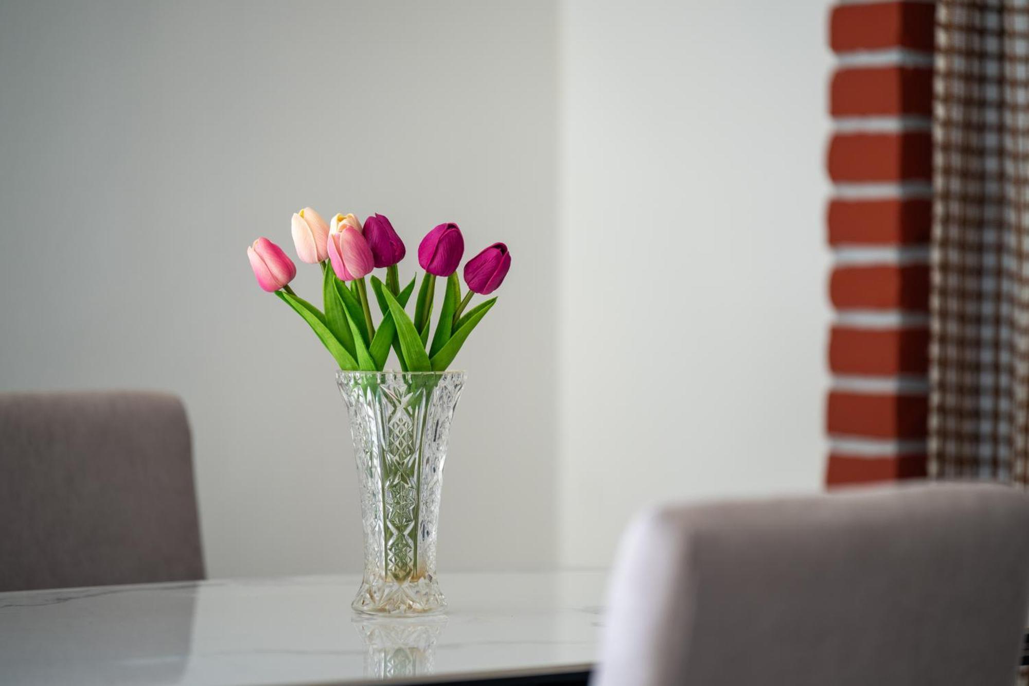 Apartment Gioia Ρόβινι Εξωτερικό φωτογραφία